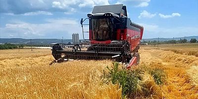 Sezonun İlk Arpa Hasadı Evreşe’de Yapıldı