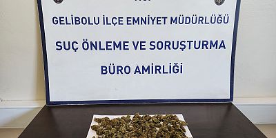 Sırt Çantasından 90 Gram Skunk Çıktı