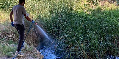 Sivrisineklere Karşı İlaçlama Çalışması Gerçekleştirildi