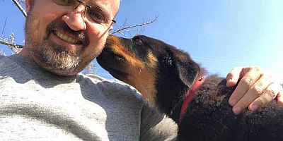 Sokak Hayvanlarını Kısırlaştırma ve Aşı Projesi Hayata Geçti