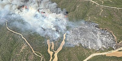 Tarihi Alanda Orman Yangını!