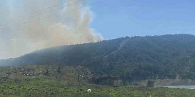 Tayfur Köyü'nde Orman Yangını Kontrol Altına Alındı