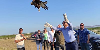 Tedavisi Tamamlanan Yırtıcı Kuşlar Doğaya Salındı