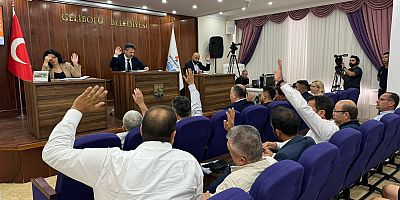 Temmuz Meclisine Mücavir Alan Konusu Damga Vurgu