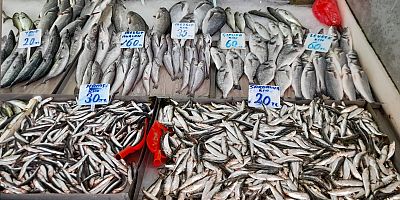 Tezgahlarda Balık Bolluğu Yaşanıyor