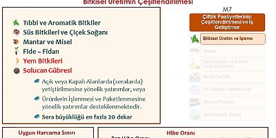 TKDK'dan 7 Farklı Yatırıma Destek