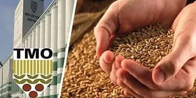TMO, 2025 Buğday ve Arpa Fiyatlarını Açıkladı
