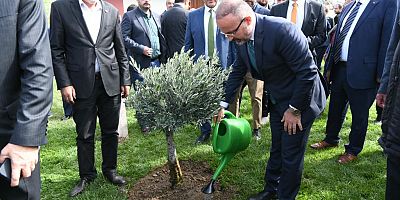 ‘ Toprakla Buluşan Fidan Sayısı 100 Milyonun Üzerinde