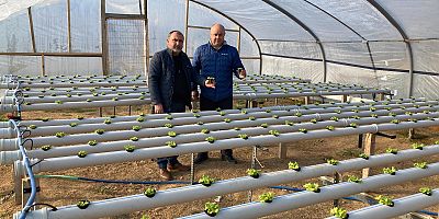 Topraksız Tarım İçin Ar-Ge Çalışmasına Başladılar