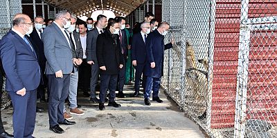 Turan; ‘Özel Barınak Açmak İsteyenlere Valilik Destek Verecek’