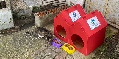 Ülkü Ocaklarından Örnek Davranış