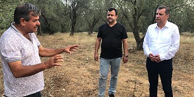 Üreticiden TARSİM İsyanı; ‘Biz Sigortacı Değiliz, Biz Çiftçiyiz’