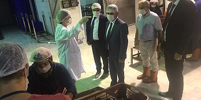 Vali Aktaş, Gelibolu Deniz Ürünlerini Ziyaret Etti