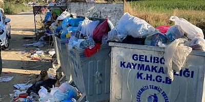 Vatandaş Çöplerden Rahatsız!