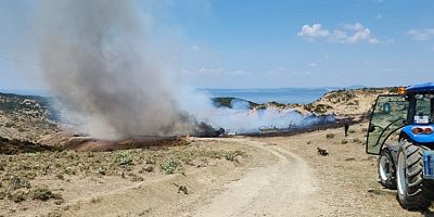 Yangında 150 Küçükbaş Hayvan Telef Oldu