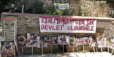 ‘Yasayı Geri Çekmenizi Umutla Bekliyoruz’