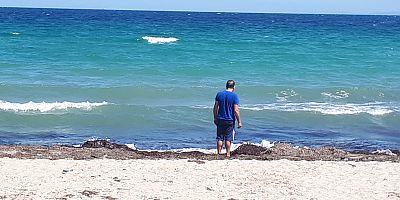 Yavru Yunusu Vatandaş Kurtardı