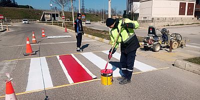 Yaya Geçitleri Boyanıyor