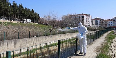 Yaz Öncesi Vektörle Mücadelede Yoğun Mesai