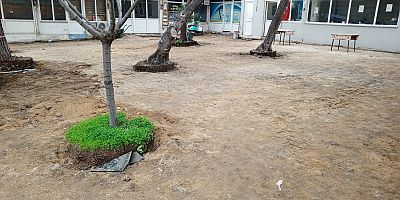 Yeni Balık Hali İçin Çalışmalar Başladı