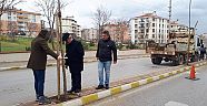 Yeni Fidanlar Dikildi