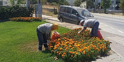Yeşil Alanlarda Çalışmalar Sürüyor