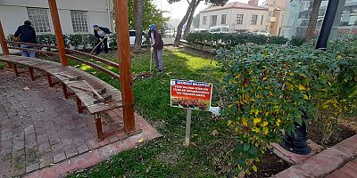 Yeşil Alanların Bakımı Yapılıyor