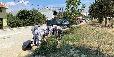 Yeşil Alanların Bakımları Yapılıyor