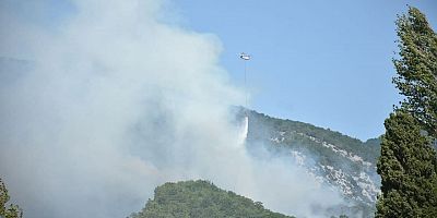 “Yine Ciğerlerimiz Yanıyor!”