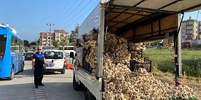 Zabıta Ekipleri Kuş Uçurmuyor