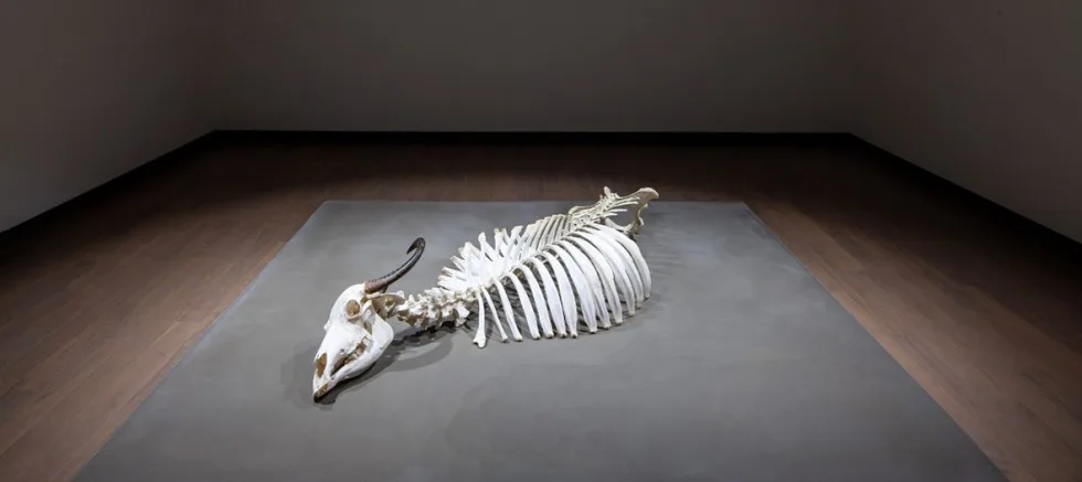 16. İstanbul Bienali’nde Gelibolulu Sanatçı; Ozan Atalan