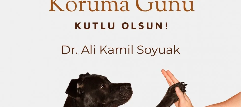 Başkan Soyuak’tan Hayvanları Koruma Günü Mesajı