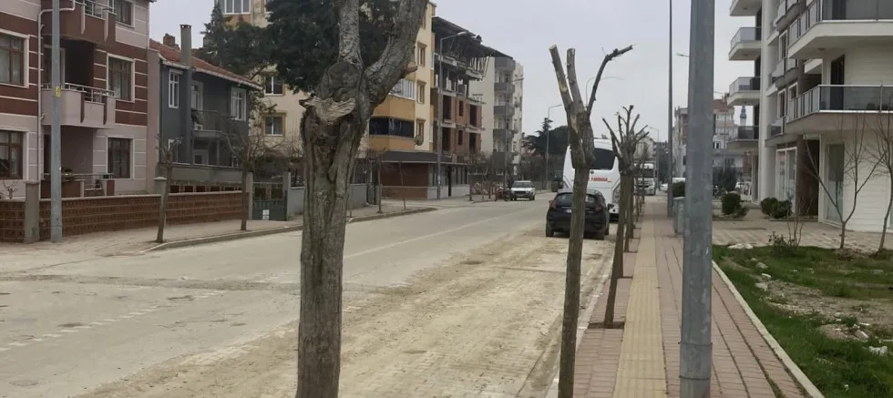 Belediyenin Ağaç Budamasına Tepkiler Sürüyor