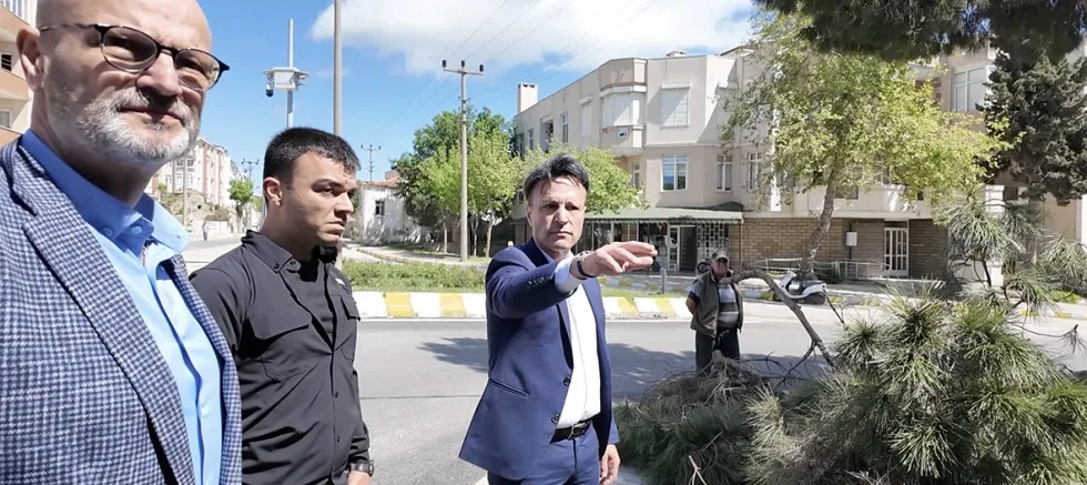 ‘Bu Kentte Ağaç Kesilmesine De Provakasyon Yapılmasına Da İzin Vermem!’
