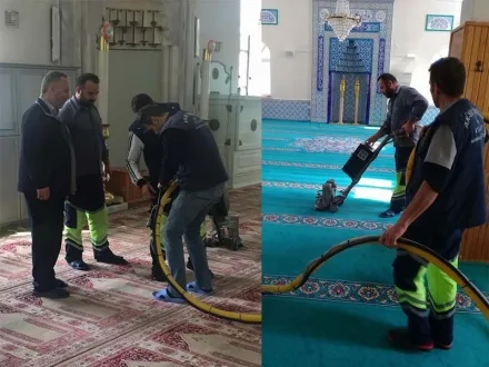 Camileri Pırıl Pırıl