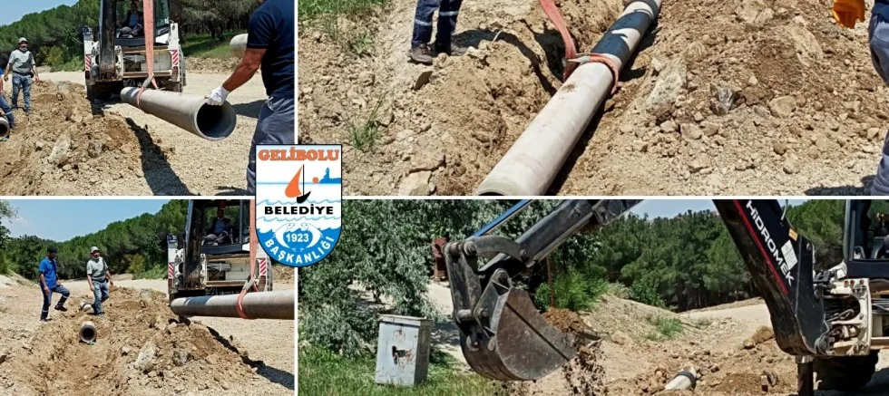 Çamlık Bölgesindeki Çalışmalar Devam Ediyor