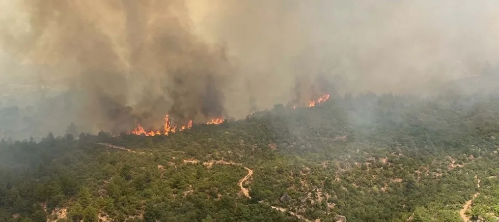 Çanakkale’de Orman Yangını