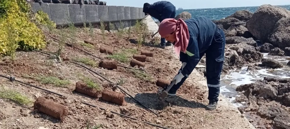 Çevre Düzenleme Çalışmaları Devam Ediyor