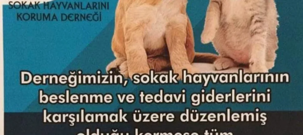 Dost Patiler’den Güz Kermesi