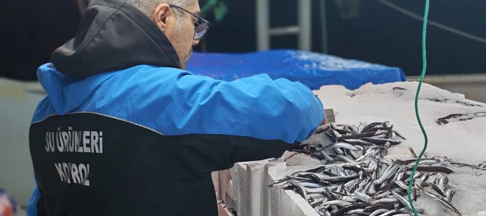 Gelibolu’da Su Ürünleri Denetimleri Devam Ediyor