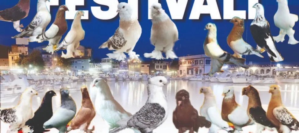 Gelibolu Kanatlı Hayvanları Yetiştirme ve Koruma Derneği GELiBOLU’DA iLKi YAPTI