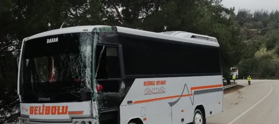 Gelibolu Yarımadası'nda Tur Otobüsü ile Midibüs Çarpıştı