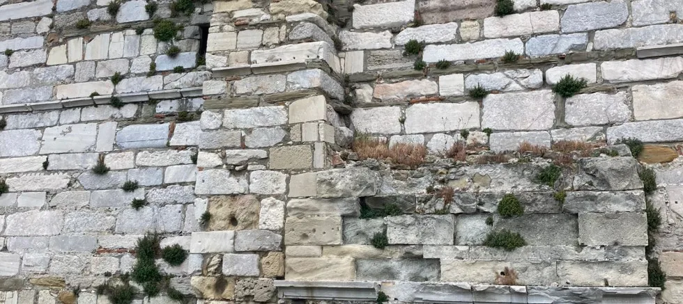 Kale Burcunu Ot Bastı