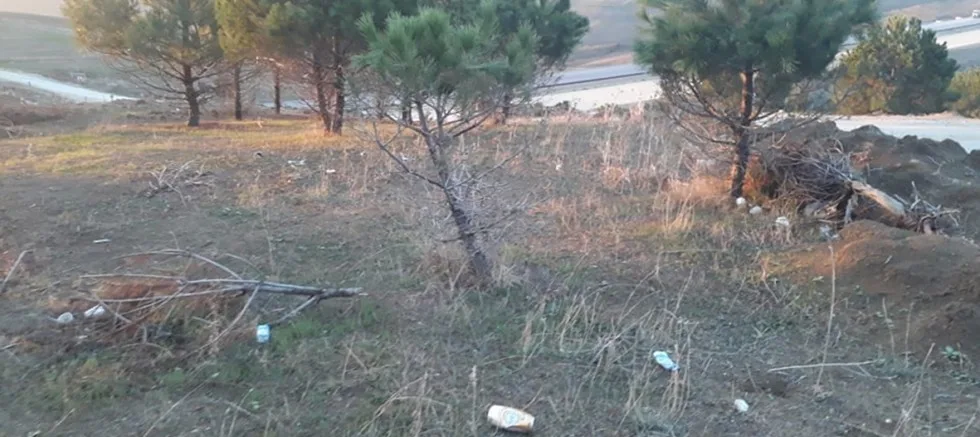 Kavaklıtepe Köyü Mehmetçik-1 Ormanının Hüzünlü Durumu