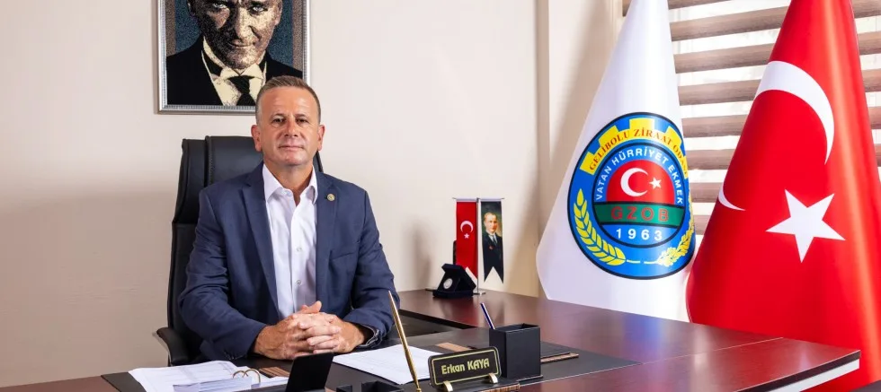 Kaya; ‘Ayçiçeği Üreticisi Endişeli’