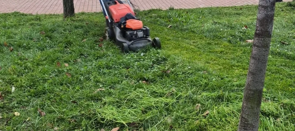Kış Döneminde Yeşil Alan Çalışmaları Devam Ediyor