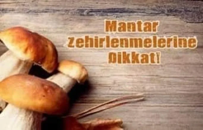 Mantar Zehirlenmelerine Dikkat!