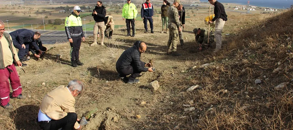Milli Ağaçlandırma Gününde 300 Fidan Dikildi