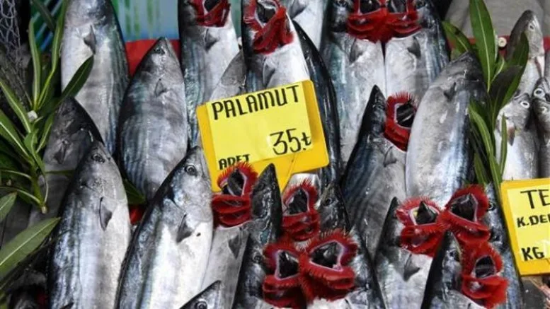 Palamudun fiyatı, sezonu biterken 35 TL'ye çıktı