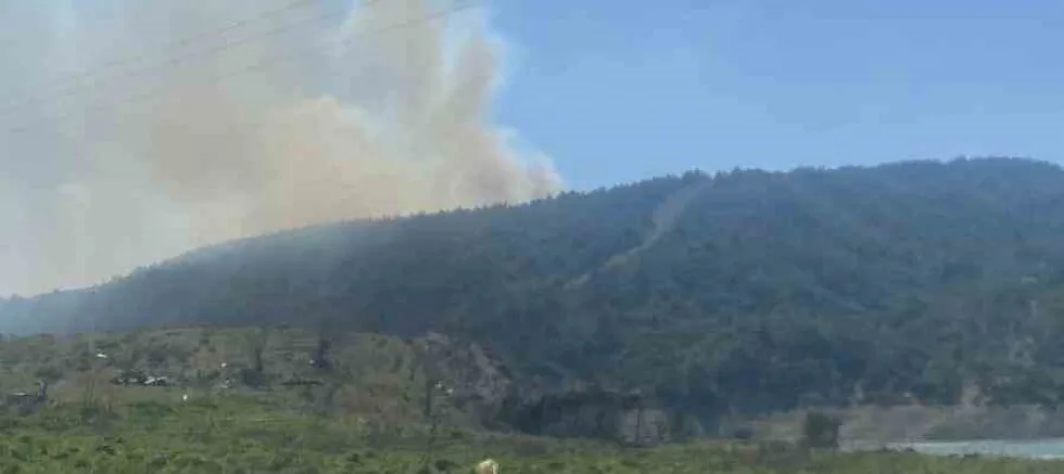 Tayfur Köyü'nde Orman Yangını Kontrol Altına Alındı
